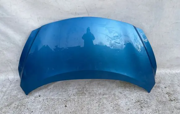 Engine bonnet/hood