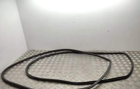 Nissan 370Z Front door rubber seal 