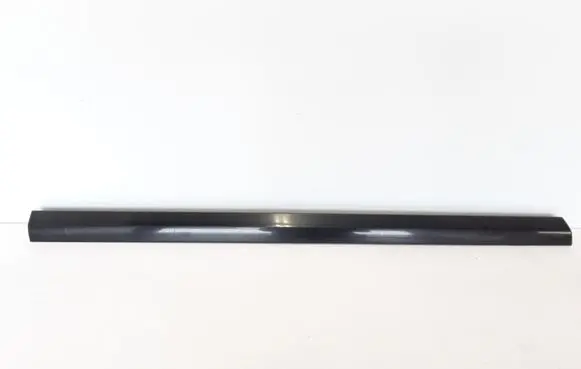 Front door trim (molding)