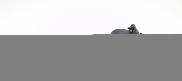 Volvo XC70 Holder (bracket) 31217640