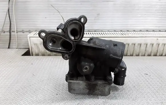 Renault Espace - Grand espace IV Oil filter mounting bracket