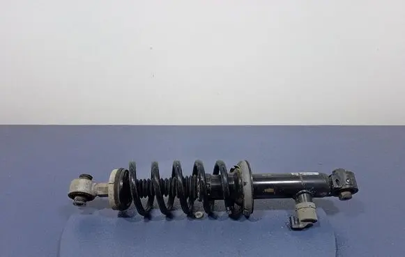 Mercedes-Benz 508 Rear shock absorber with coil spring 9830038280
