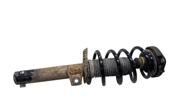 Volkswagen PASSAT B6 Front shock absorber with coil spring 3C0413031AC