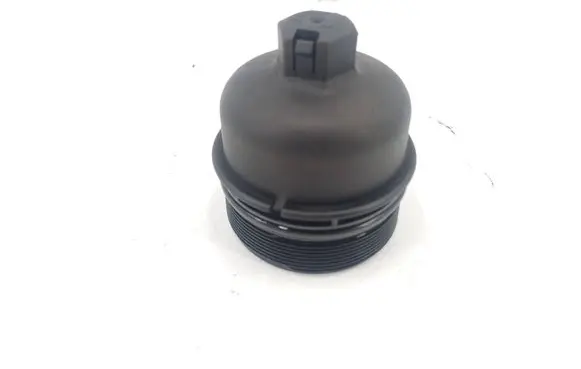 Land Rover Evoque I Oil filter cover 