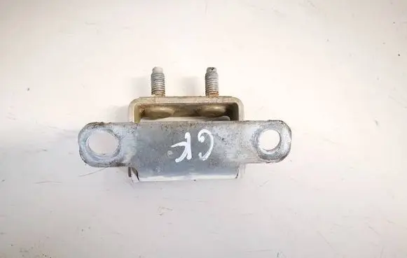 Tailgate/trunk/boot hinge
