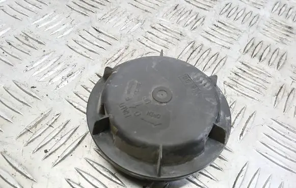 Citroen C5 Headlight/headlamp dust cover 89001811