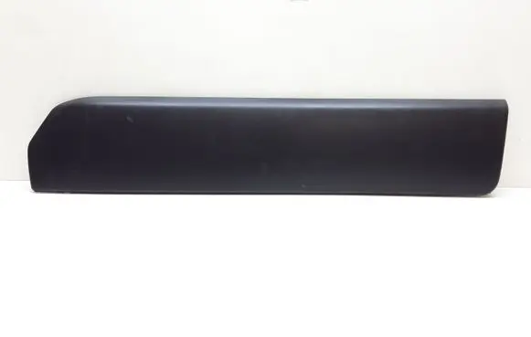 Rear door trim (molding)