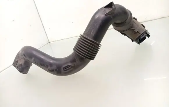 Dacia Sandero II Air intake duct part 165556691R