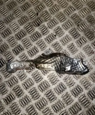 Exhaust heat shield