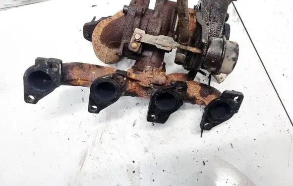 Citroen Xsara Exhaust manifold 