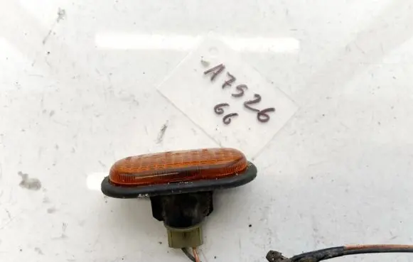 Renault Kangoo I Front fender indicator light