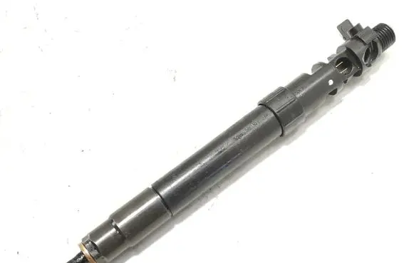 Ford C-MAX II Fuel injector EMBR00101D 9686191080