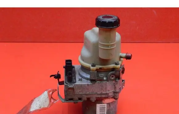 Dacia Dokker Power steering pump 491100842R