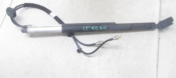 Tailgate/trunk strut/damper