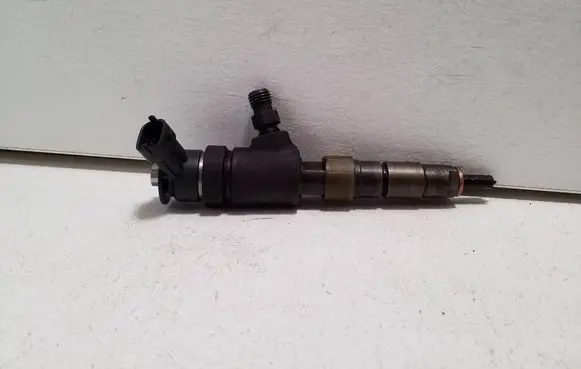 Peugeot Expert Fuel injector 0445110566 027766