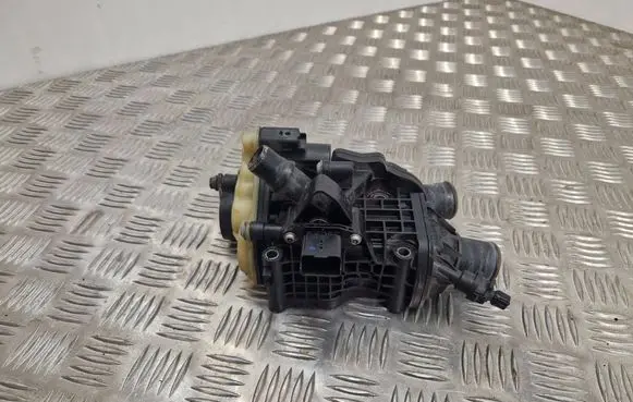 Thermostat/thermostat housing