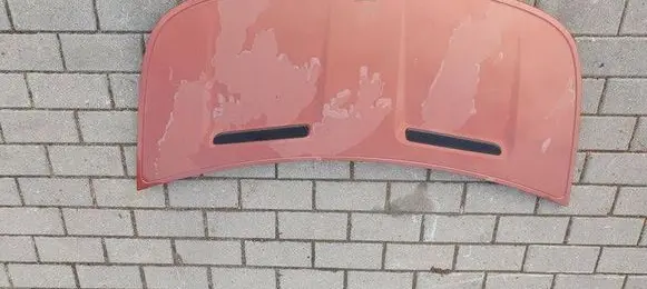 Engine bonnet/hood