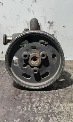 Volkswagen Golf V Power steering pump 038131513AD