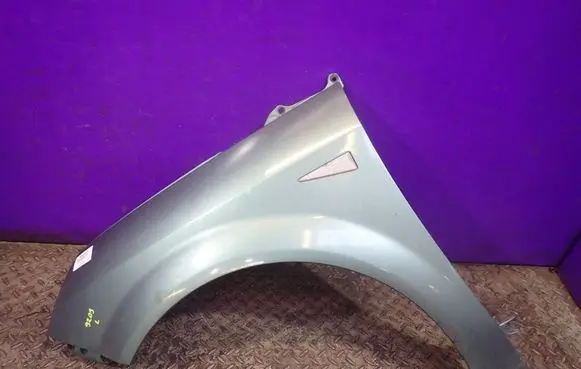 Renault Scenic II - Grand scenic II Fender 