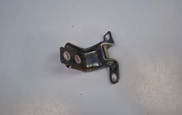 Front door lower hinge