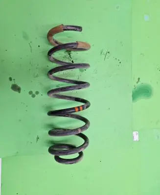 Rear coil spring