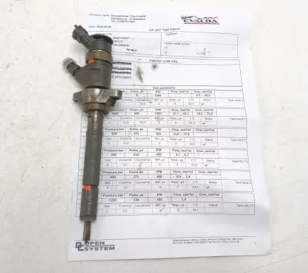 Citroen C5 Fuel injector 0445110297
