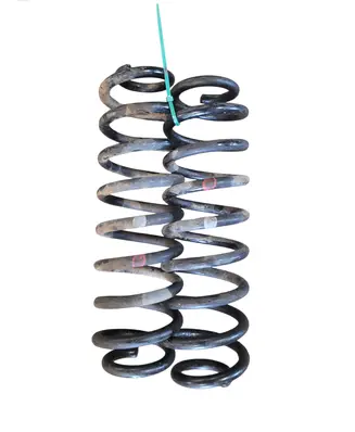 Rear coil spring