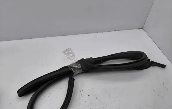 Tesla Model S Rubber seal front door (on door) 