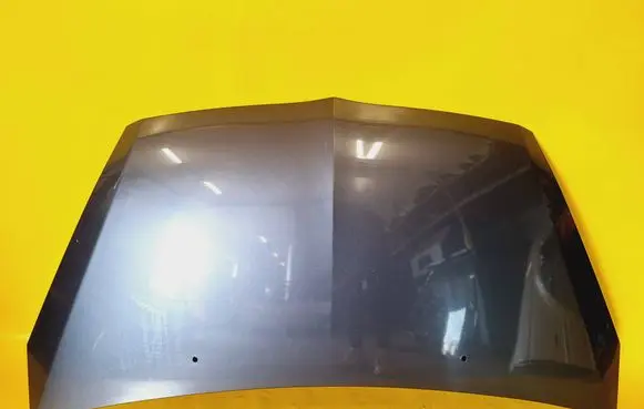 Engine bonnet/hood