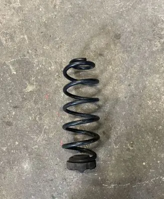 Rear coil spring