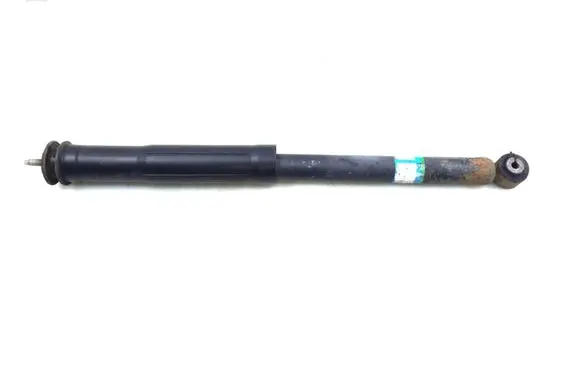 Toyota Urban Cruiser (XP110) Rear shock absorber/damper 4853052E80