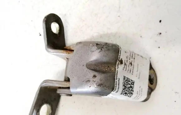 Hyundai Sonata Front door upper hinge