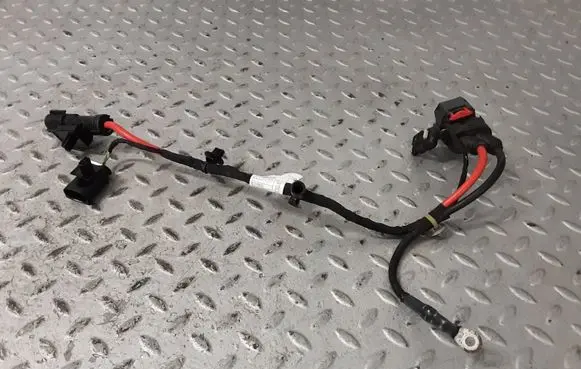 BMW X1 U11 Other wiring loom 5B42471 5B42472 61125B42472