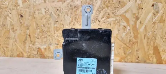 KIA Sorento Engine control unit/module 954003e300
