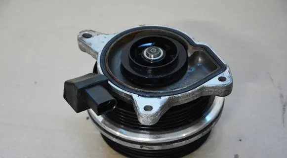 Volkswagen Polo V 6R Water pump 0C00000061 73480020059