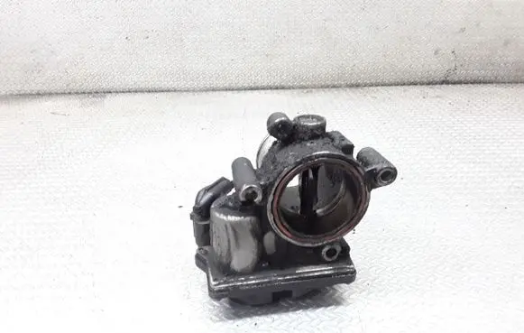 Volkswagen PASSAT B6 Throttle valve A2C83076000