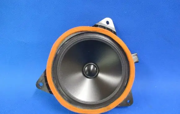 Rear door speaker