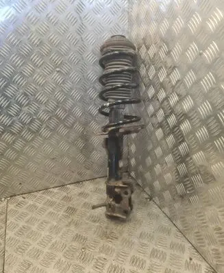 Opel Zafira B Front shock absorber with coil spring