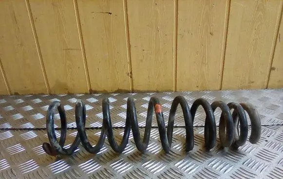 Front coil spring
