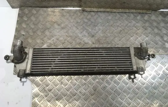Nissan Qashqai Intercooler radiator G3062003 14461JD50A
