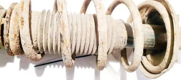 Front coil spring