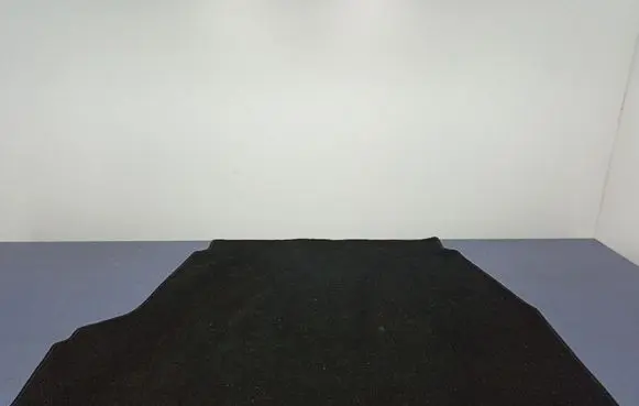 Hyundai Sonata Front floor carpet liner 