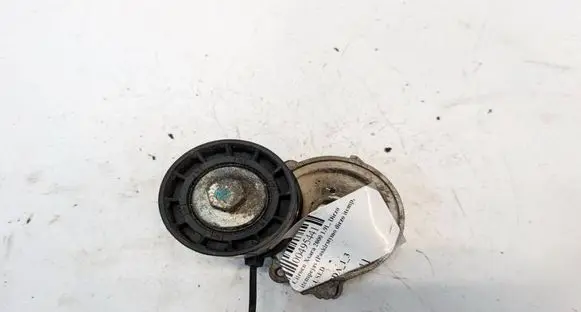 Citroen Xsara Generator/alternator belt tensioner