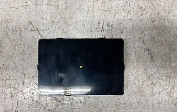 Hyundai i20 (PB PBT) BSM Control unit 954001J012