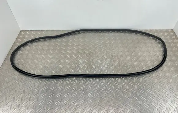 Nissan Navara D23 Front door rubber seal 