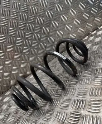 Opel Insignia A Rear coil spring 