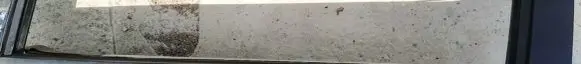 Volkswagen Sharan Front door glass trim molding 