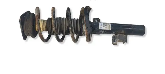 Ford Focus Front shock absorber with coil spring 313283 824903016748