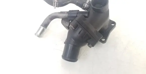 Thermostat/thermostat housing
