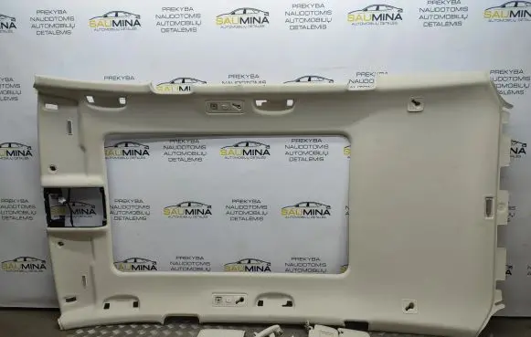 Volkswagen PASSAT B8 Headlining set 